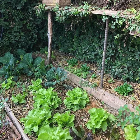 Casale Hortensiae * Orte